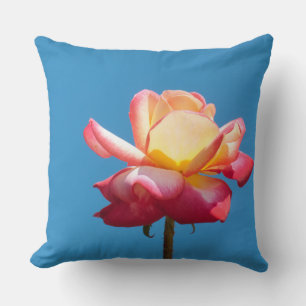 Blossom roze gele roos kussen