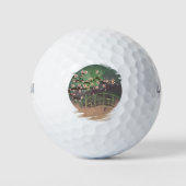 Blossom Sundown Golfballen (Voorkant)