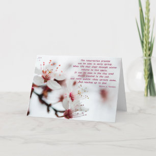 Blossom Sympathy gedicht Kaart