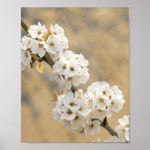 Blossom Symphony Naturen Overture Poster