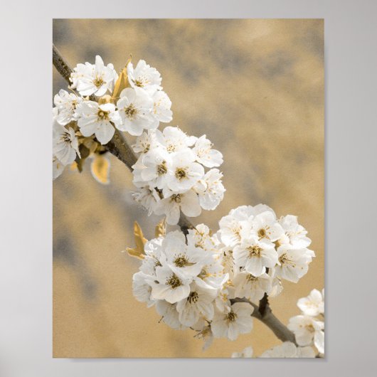 Blossom Symphony Naturen Overture Poster (Voorkant)