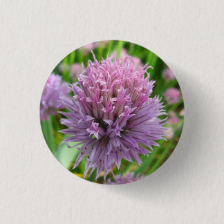 Blossombere Button