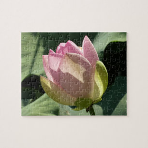 Blossomberende roze Lotus Flower Summer Legpuzzel
