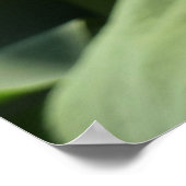 Blossomberende roze Lotus Flower Summer Poster (Hoek)