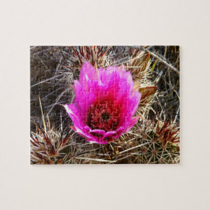 Blossomen Cactus (Prickly Pear) Wilde bloem Legpuzzel