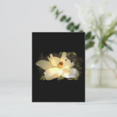 Blossomen Magnolia Briefkaart (Staand voorkant)