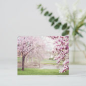 Blossomen Magnolia Trees Briefkaart (Staand voorkant)