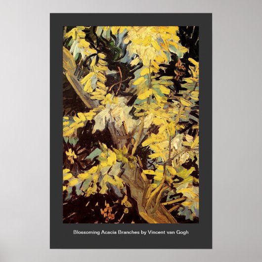 Blossoming Acacia Branches Vincent van Gogh. Poster (Voorkant)