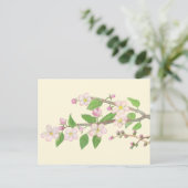 Blossoming Apple Tree Branch Briefkaart (Staand voorkant)