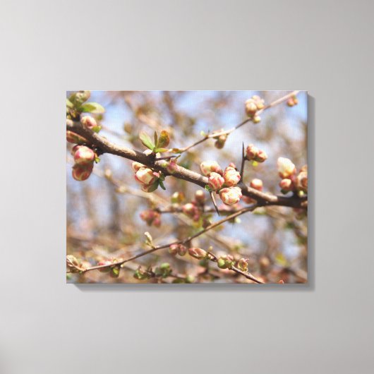 Blossoming Apple Tree Canvas Afdruk (Voorkant)