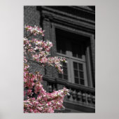 Blossoming Balcony Poster (Voorkant)