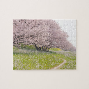 Blossoming Yoshino-kerriebomen in een gebied Legpuzzel
