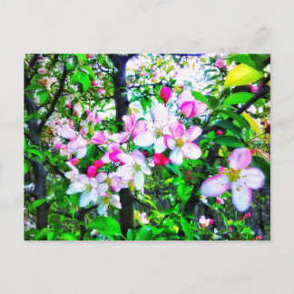 BLOSSOMS BRIEFKAART TOEPASSEN