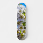 Blossomtak van een peren skateboard (Voorkant)
