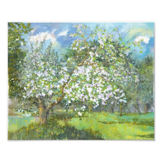 Blossomtuin Foto Afdruk (Voorkant)