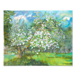 Blossomtuin Foto Afdruk