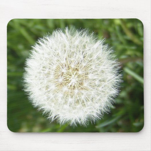 blow bull muismat (Voorkant)