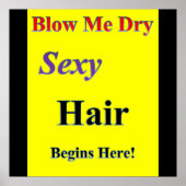 Blow me Dry Poster Matte (Devant)
