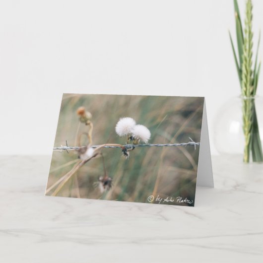 blowballs kaart (Voorkant)