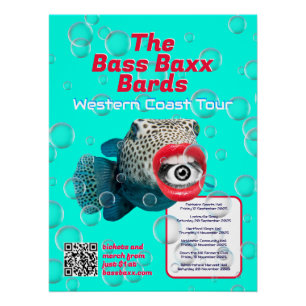 Blowfish Punk Rock Band Tour Poster Perfect Poster
