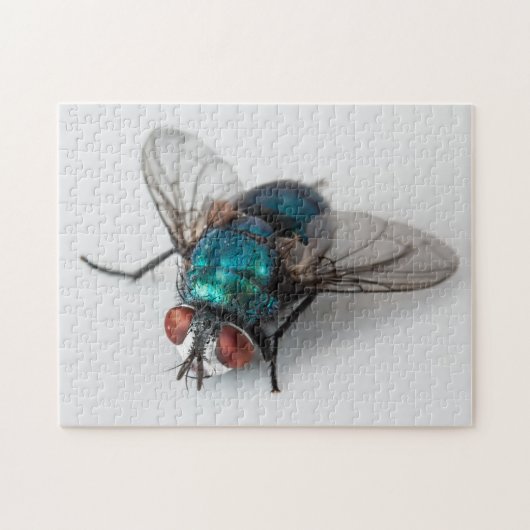 Blowfly Blue Bottle Fly Gros plan Bug Photo Puzzle (Horizontal)