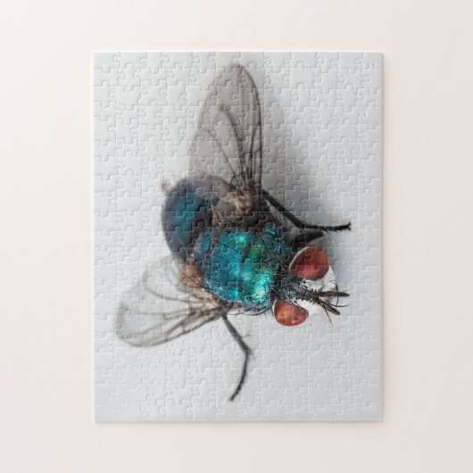 Blowfly Blue Ftle Fly Close-up Bug Photo Puzzle Legpuzzel (Verticaal)