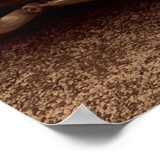 Blown Flattie 2 Poster (Hoek)