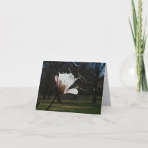 Blozende Magnolia Bloesem Fijne Kunst Notitiekaart