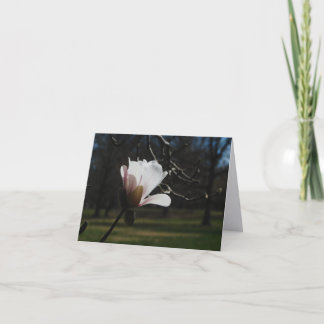Blozende Magnolia Bloesem Fijne Kunst Notitiekaart