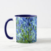 Blue Agapanthus Mok (Links)