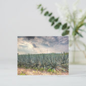 Blue Agave Briefkaart (Staand voorkant)