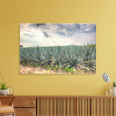 Blue Agave Canvas Afdruk (Insitu (Woonkamer))