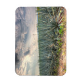 Blue Agave Magneet (Verticaal)