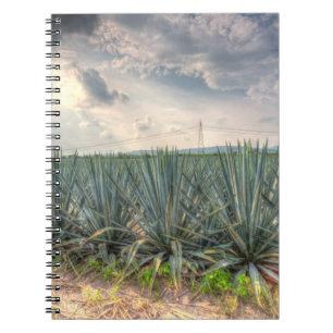 Blue Agave Notitieboek