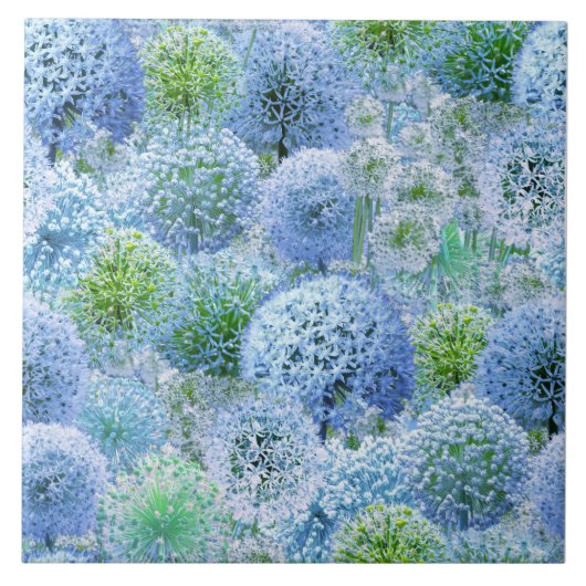 Blue Alliums Tegeltje (Voorkant)