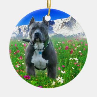 Blue American Pit Bull Terrier, Pikes Peak Keramisch Ornament