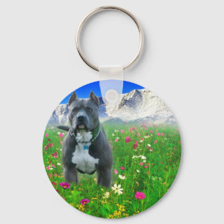 Blue American Pit Bull Terrier, Pikes Peak Sleutelhanger