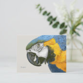 Blue and Gold Macaw Briefkaart (Staand voorkant)
