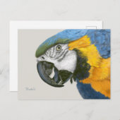Blue and Gold Macaw Briefkaart (Voorkant / Achterkant)