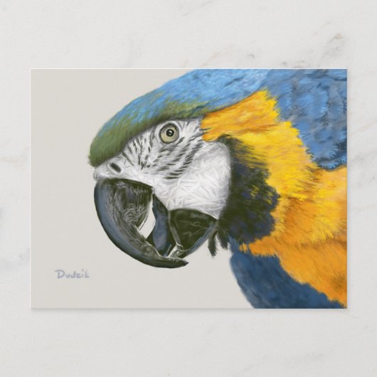 Blue and Gold Macaw Briefkaart (Voorkant)