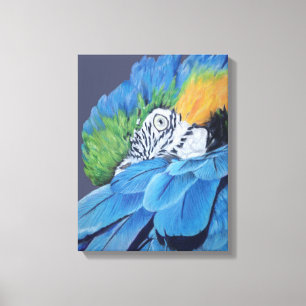 Blue and Gold Macaw Canvas Afdruk