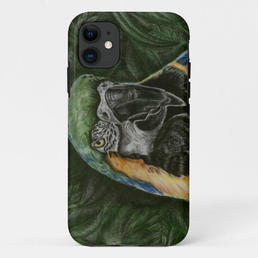 Blue and Gold Macaw Iphone Case (Achterkant)