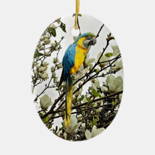 Blue and Gold Macaw Keramisch Ornament