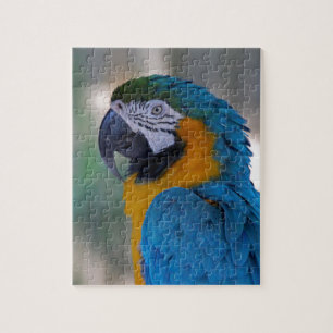 Blue and Gold Macaw Legpuzzel