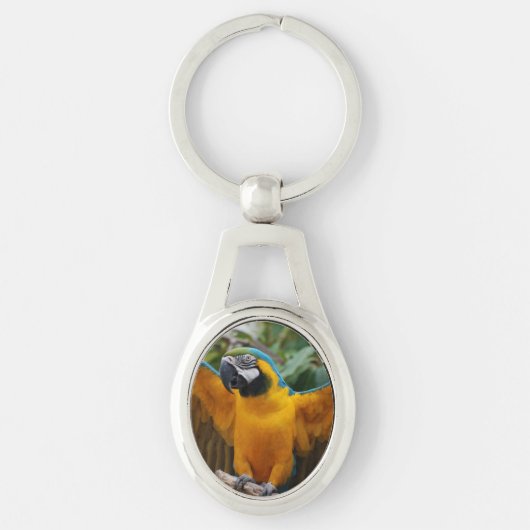 Blue and Gold Macaw Sleutelhanger (Voorkant)