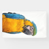Blue and Gold Macaw Spandoek (Horizontaal)