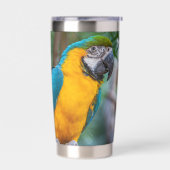 Blue-and-Yellow Macaw Geïsoleerde Drinkbeker (Links)