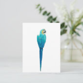 Blue and Yellow Macaw van Junglewalk.com Briefkaart (Staand voorkant)