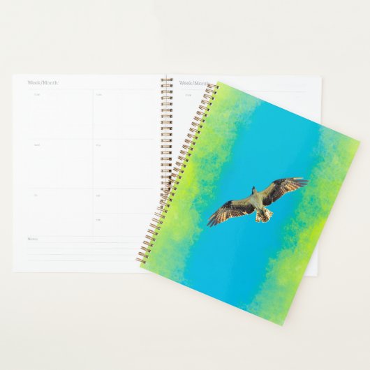 Blue and yellow planner (Display)