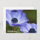 Blue Anemone Briefkaart (Voorkant / Achterkant)